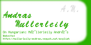 andras mullerleily business card